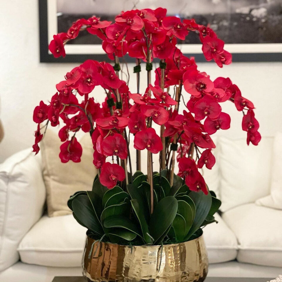 Red Phalaenopsis Orchids in a Medium Gold Vase