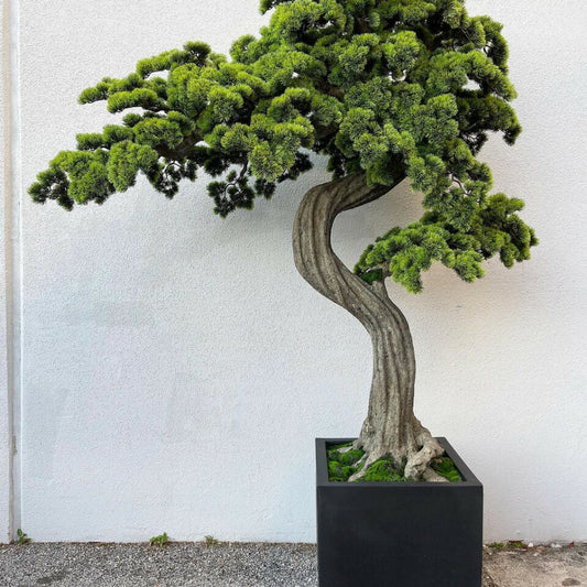 Large Bonsai Tree Block