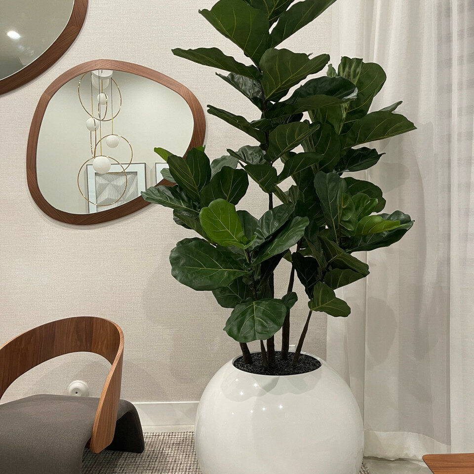 76 cm White Spherical Vase with Fiddle-Leaf Fig Tree