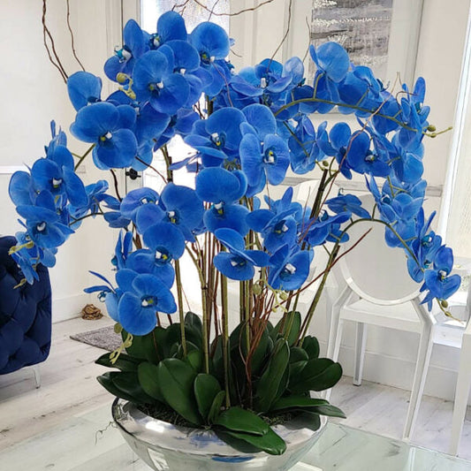 Avenue Bowl with Blue Phalaenopsis Orchids.