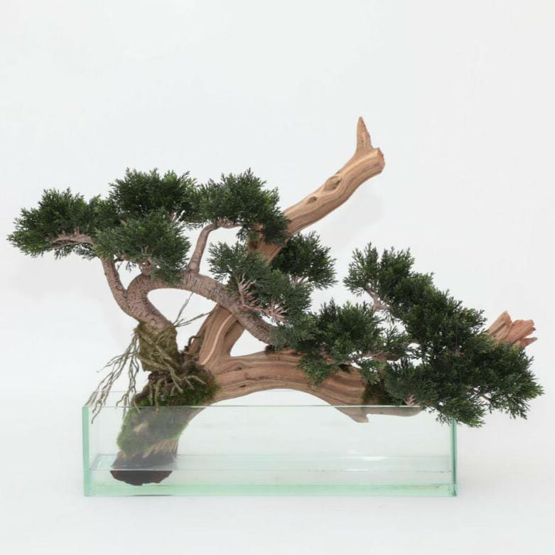 Creeping Artificial Cedar Bonsai in Glass Planter