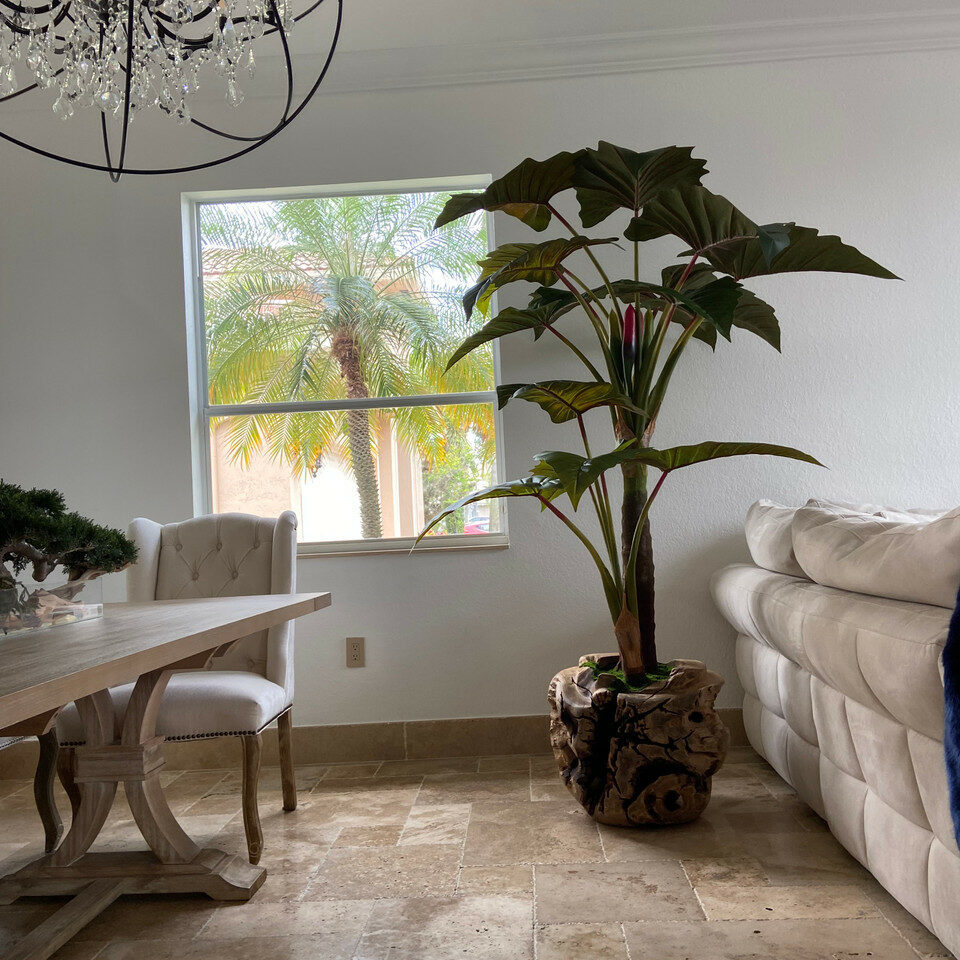 Large teak bowl with Alocasia plant.