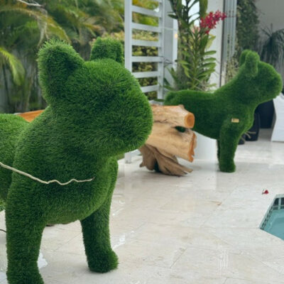 French Bulldog Topiary