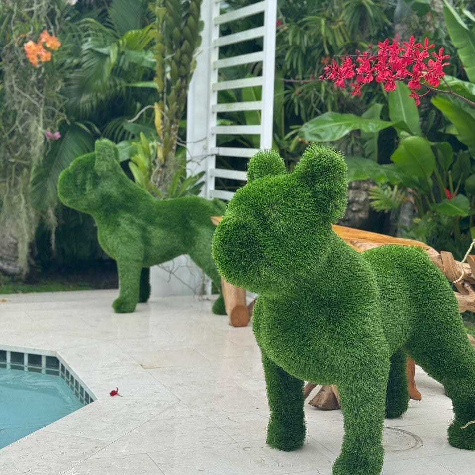 French Bulldog Topiary