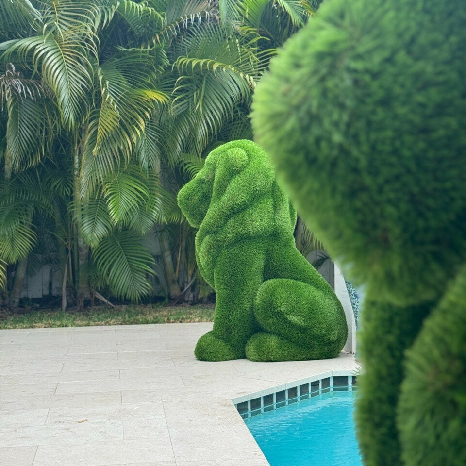 Sitting Lion Topiary