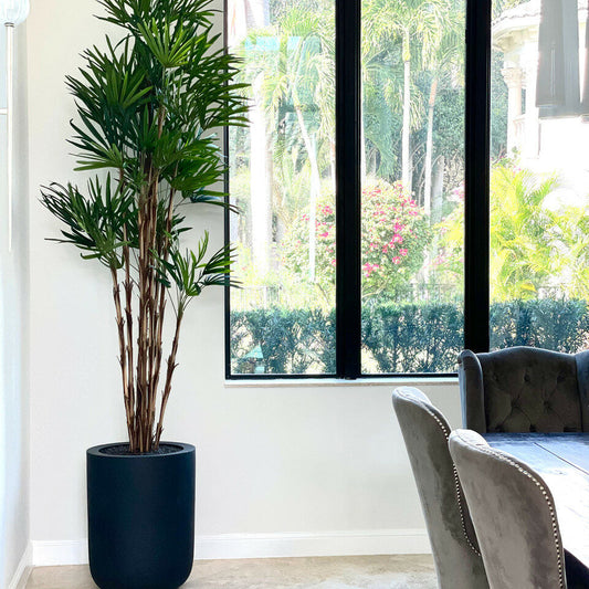 XL Palm Tree in Black Pot