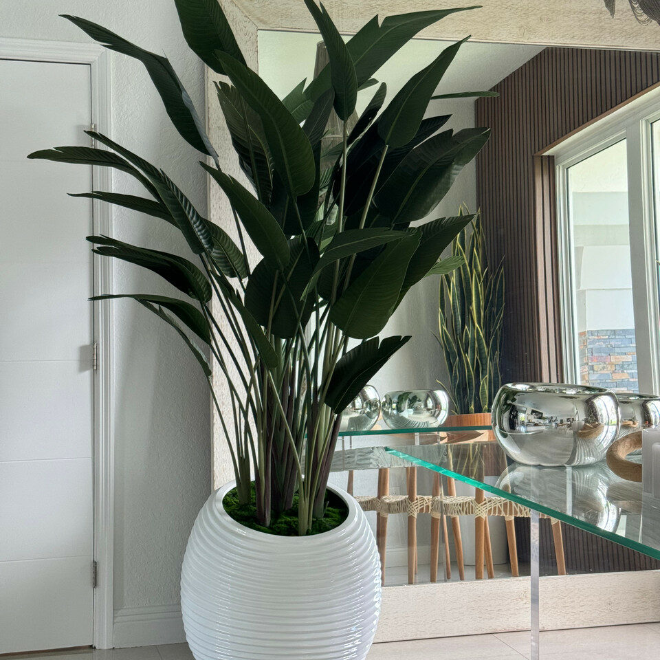 Bird of Paradise in White Spiral Pot