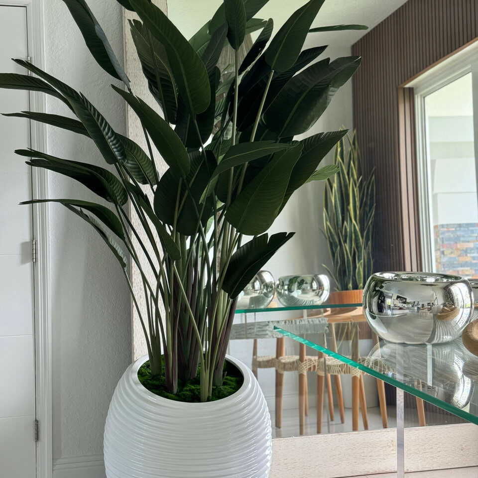 Bird of Paradise in White Spiral Pot