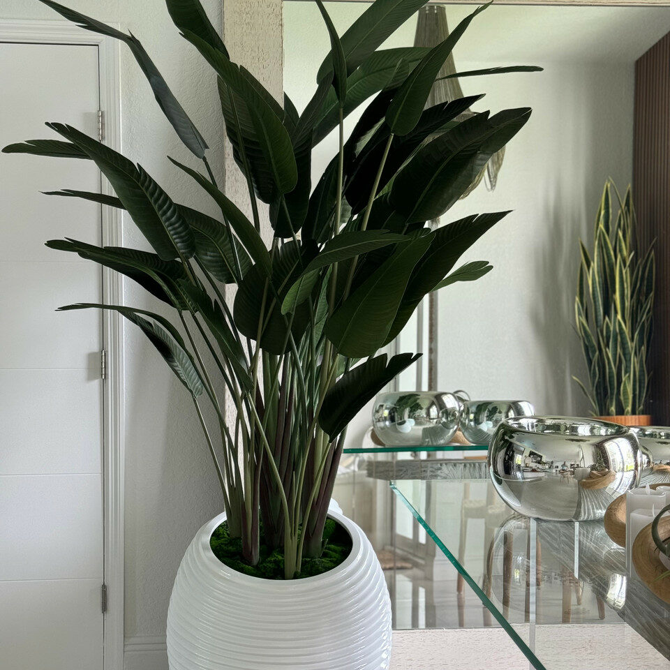 Bird of Paradise in White Spiral Pot