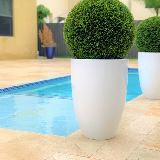 Ben L fiberglass pot with 50 cm topiary.