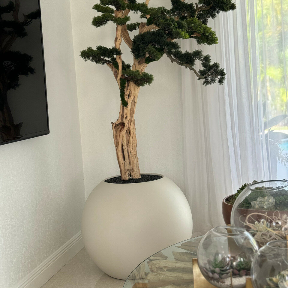 Bonsai in a 75 cm Satin Beige Globe Planter