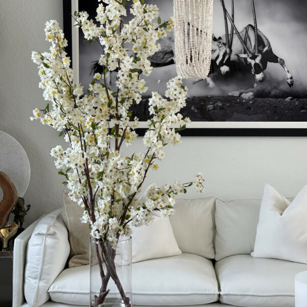 Cherry blossoms in a 40 cm glass cylinder.