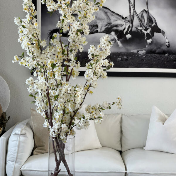 Cherry blossoms in a 40 cm glass cylinder.