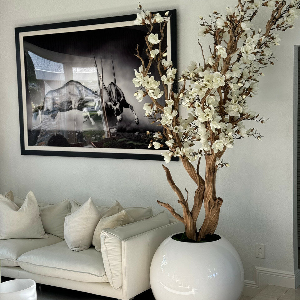 White Magnolia Tree in Glossy White Sphere Pot, 76 cm