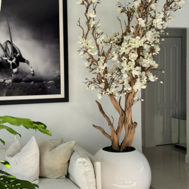 White Magnolia Tree in Glossy White Sphere Pot, 0.76 m