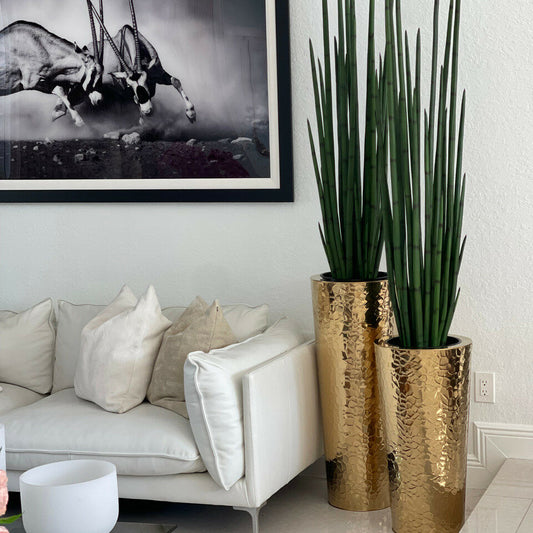 Gold Stainless Steel Conical Vase with Large Snake Grass Plant.