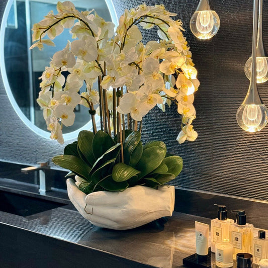 White Phalaenopsis Orchids in an Open Hands Sculptural Vase