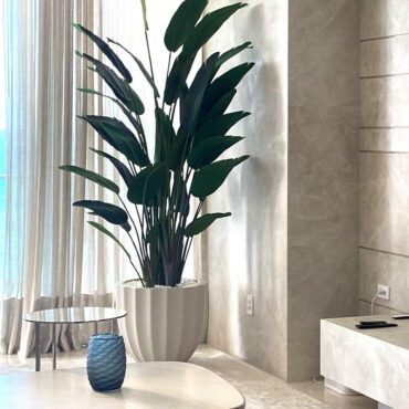 Santa Bárbara Planter in matte beige with Bird of Paradise.