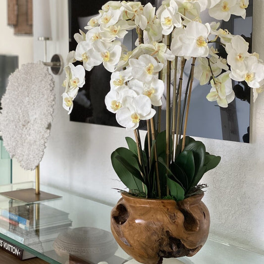 Large teak bowl with white orchids